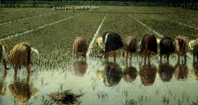 Angelo Morbelli Pour 80 centimes