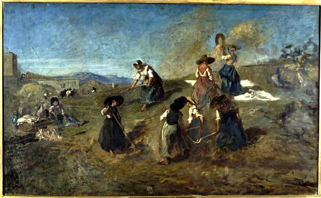 Fromentin Moisson en Provence