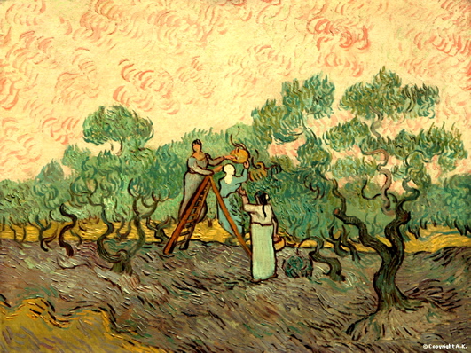 Van Gogh Femmes cueillant des olives