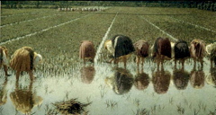 Angelo Morbelli Pour 80 centimes