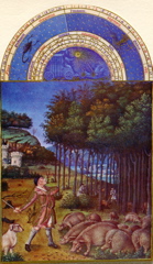 Duc de Berry novembre