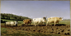 Bonheur Labourage en Nivernais