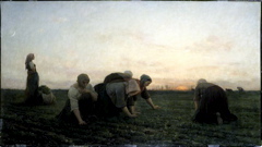 Breton Les sarcleuses